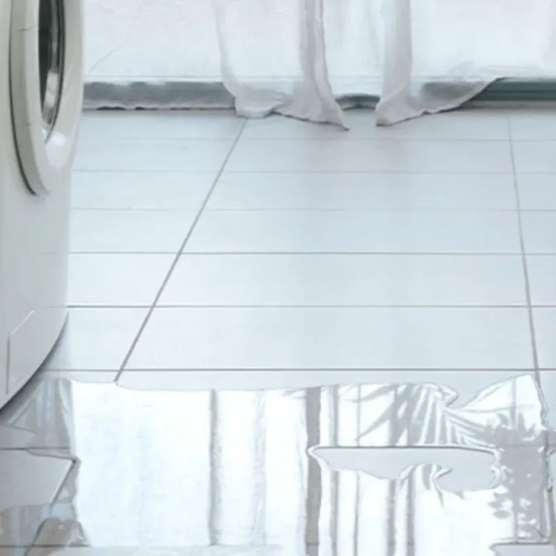 Appliance Leak Cleanup in Midway, FL