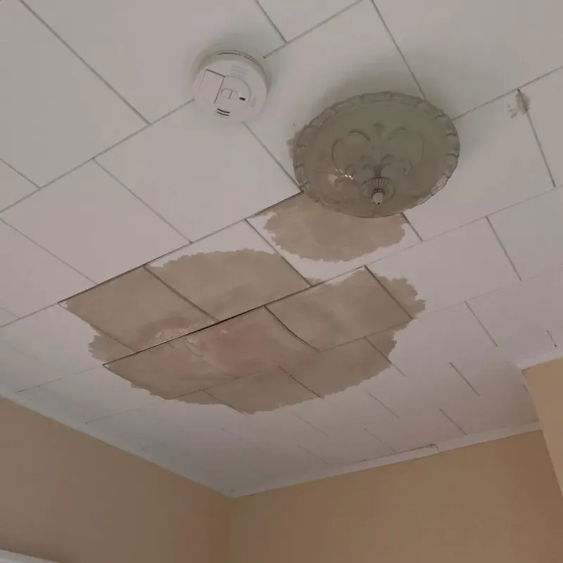 Ceiling Water Damage Repair in Midway, FL